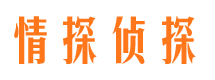 清城市出轨取证